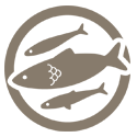 Herring, Anchovies or Sardines Icon