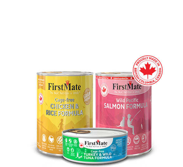 Canned Cat Food | FirstMate Pet Foods