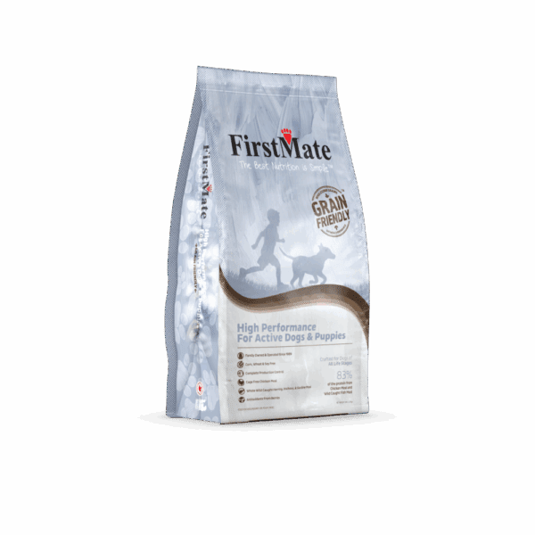 GF_New_renderings_High Performance